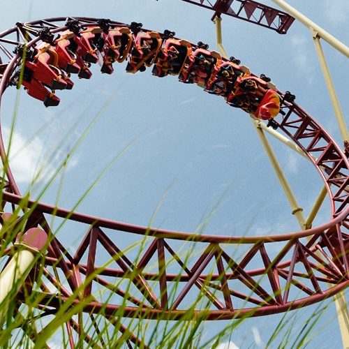 cobra