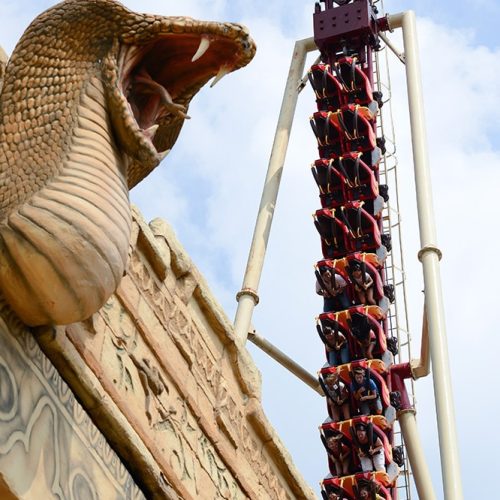 conny-land-cobra-1