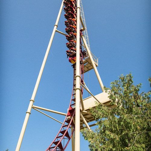conny-land-cobra-7